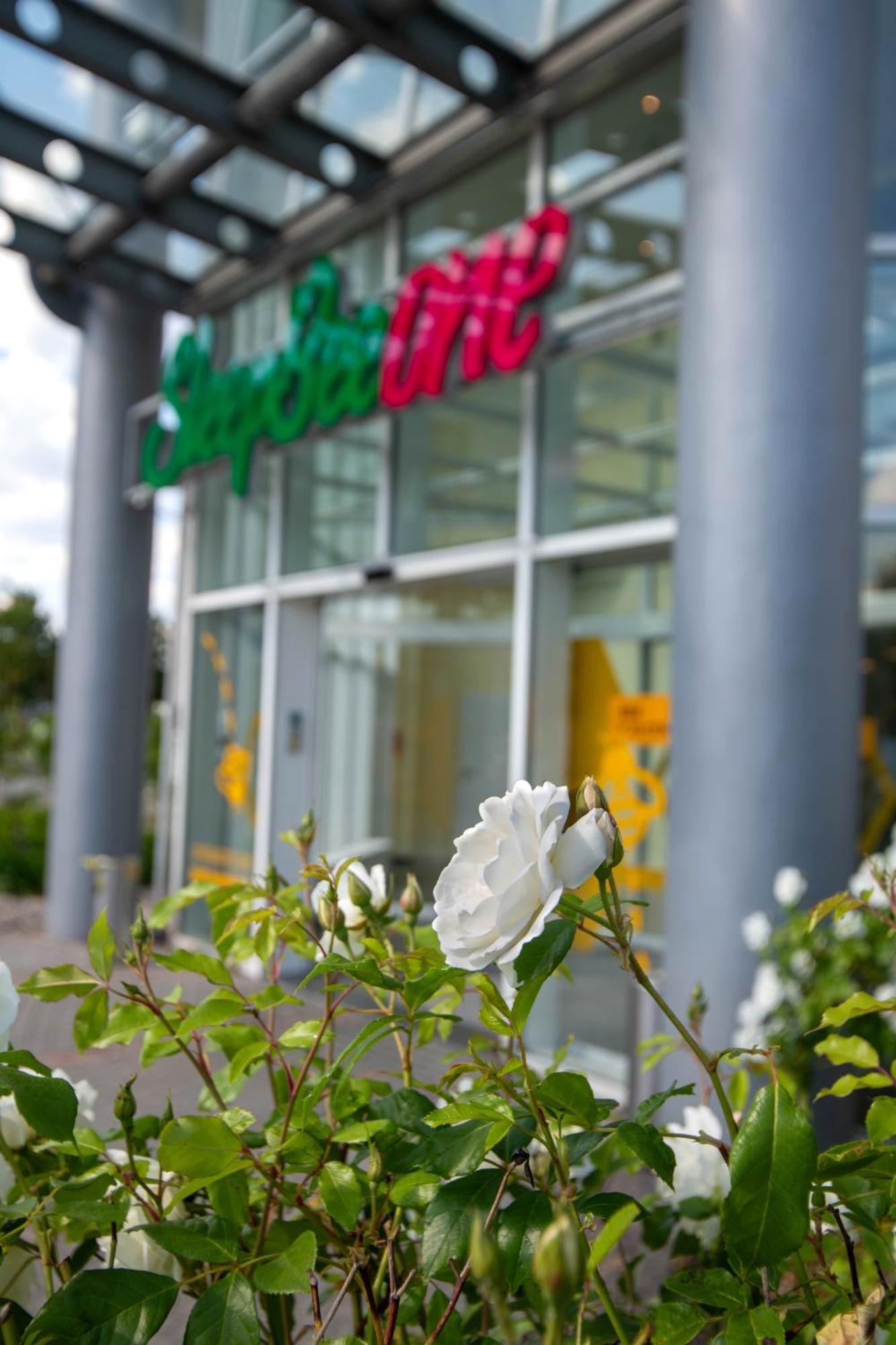 Best Western Conference Airporthotel Frankfurt Moerfelden Mörfelden-Walldorf Exterior foto